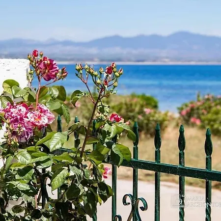 Starry Coast 네아 포티데아