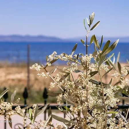 Starry Coast Apartmán