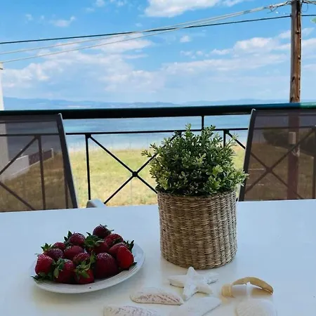 Starry Coast Apartmán